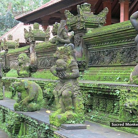 Zen Premium Nyuh Bojog Ubud Esterno foto