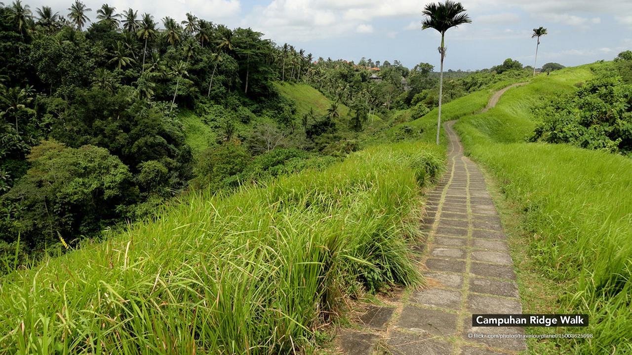 Zen Premium Nyuh Bojog Ubud Esterno foto